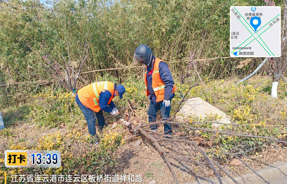 65ab851cc8374d2a1011ea1351663617